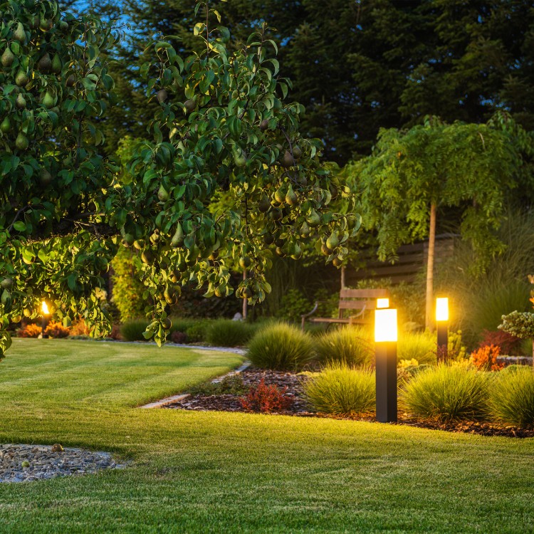 Electrical Services in San Diego, CA Electrical Services in San Diego, CA